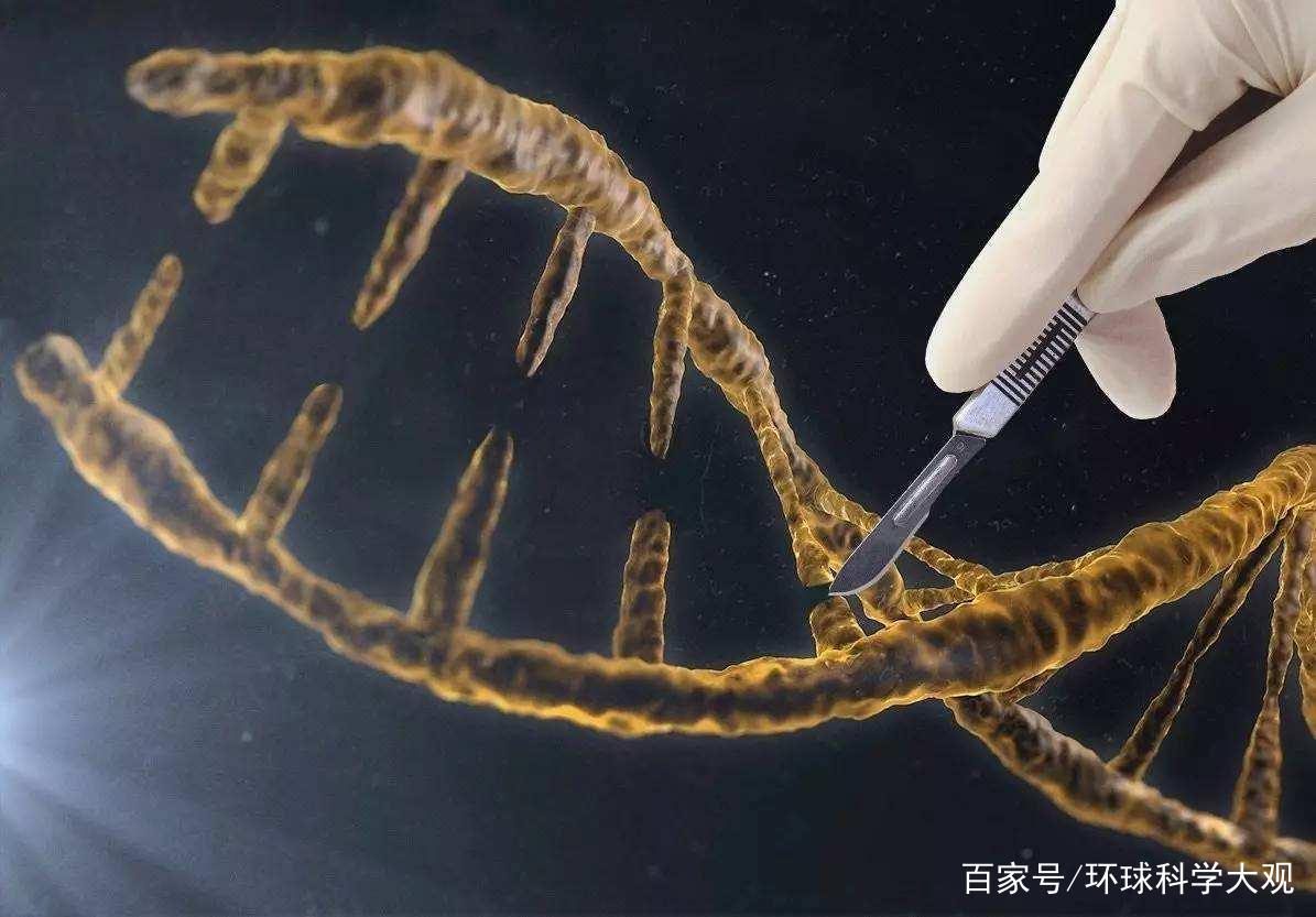美科学家:基因技术对人类极具威胁性,将导致非预期突变!