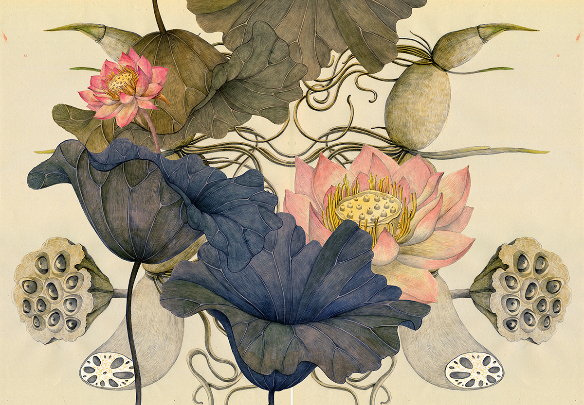 插画设计丨莲花主题插画设计,创作手法很有意思