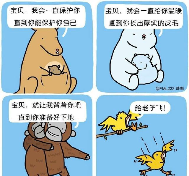 小诺gif很好奇开宝马的感情骗子是什么样的