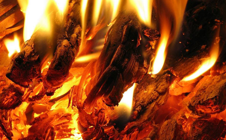 三生肖干材遇烈火,轰轰烈烈赚钱犹如烈火燎原