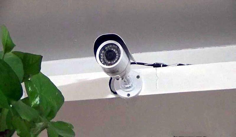 家里最近总丢钱我偷偷装了个监控看到画面里偷钱的人我傻了