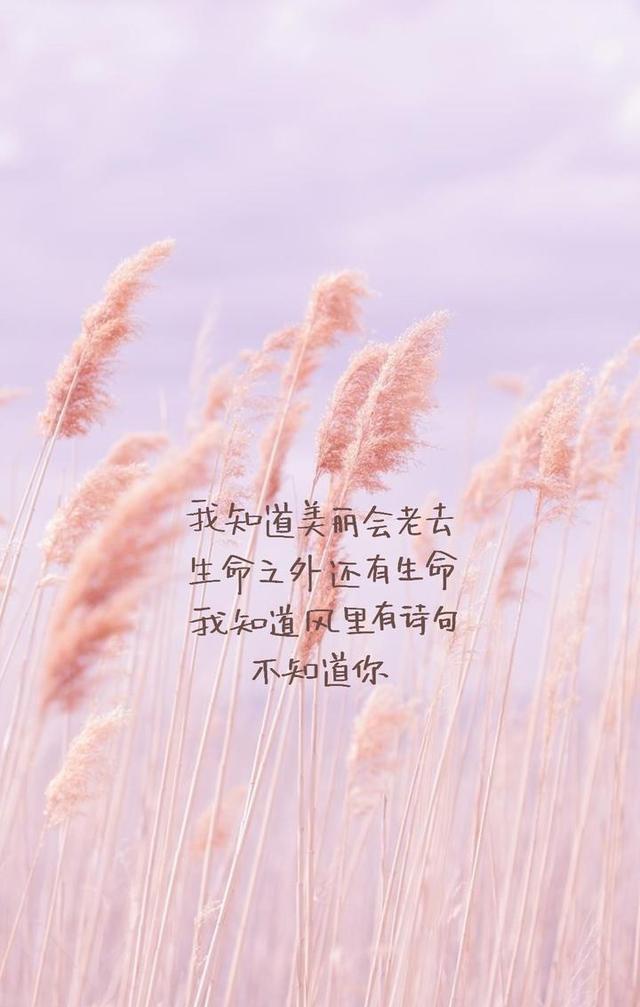 30张文字控壁纸高清无水印一