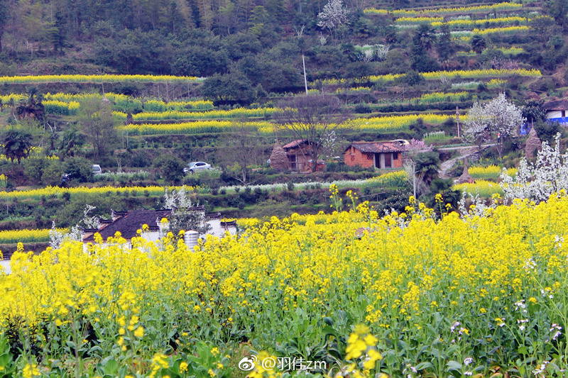 树绕村庄,水满陂塘.倚东风,豪兴徜徉.小园几许,收尽春光