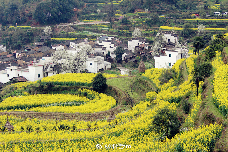 树绕村庄，水满陂塘。倚东风、豪兴徜徉。小园几许，收尽春光|陂塘|豪兴|小园_新浪新闻