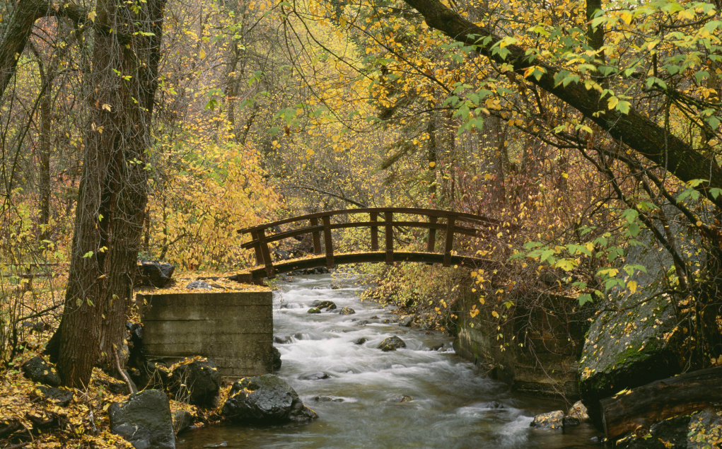 这是一条流经美国福克峡谷的河流,小桥横跨河流.