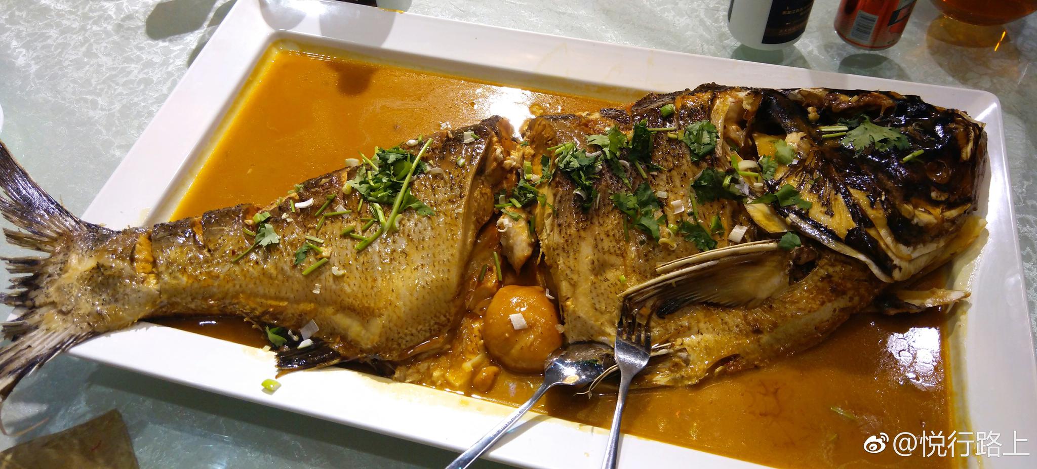 晚餐品尝五大连池的矿泉鱼宴