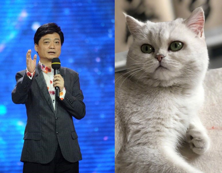 崔永元的安娜变成网红,歌手刘牧为安娜写歌,安