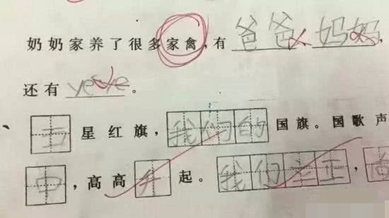 小学生的耿直作业快活的反义词是什么爸妈看后脸都气绿了