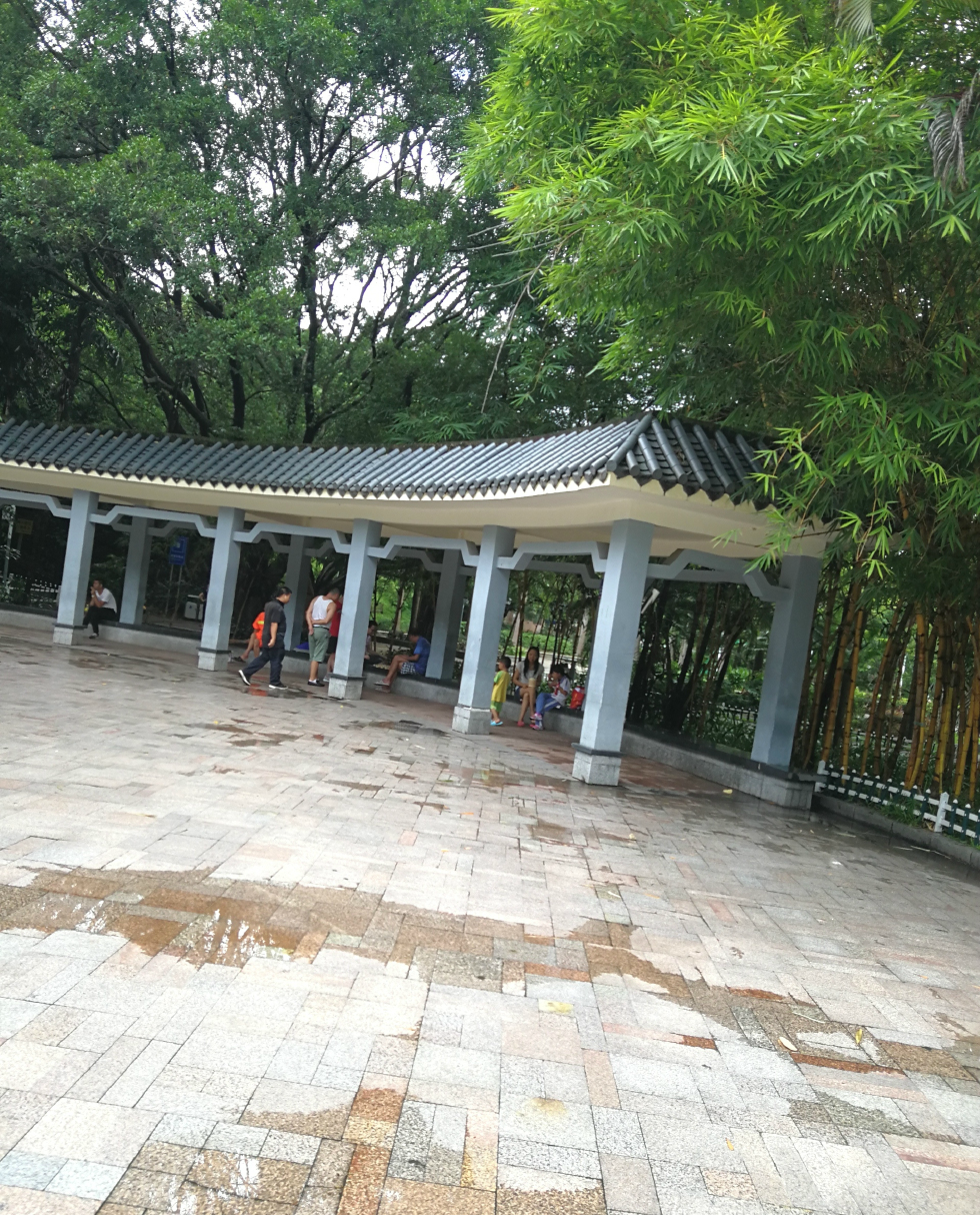 实拍深圳龙华公园,变得这么冷清,只有放假的时候才会热闹