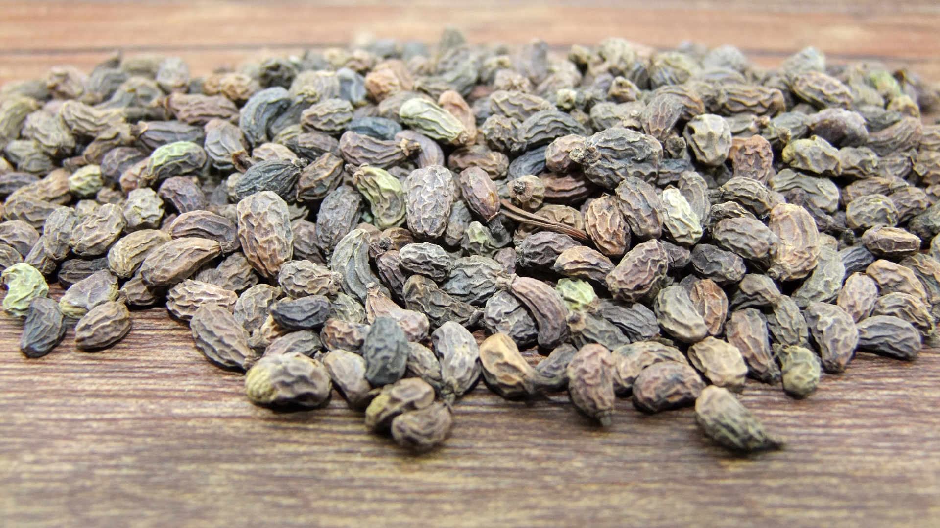 每天学一味中药本草经疏称女贞子正人肾除热补精之要品