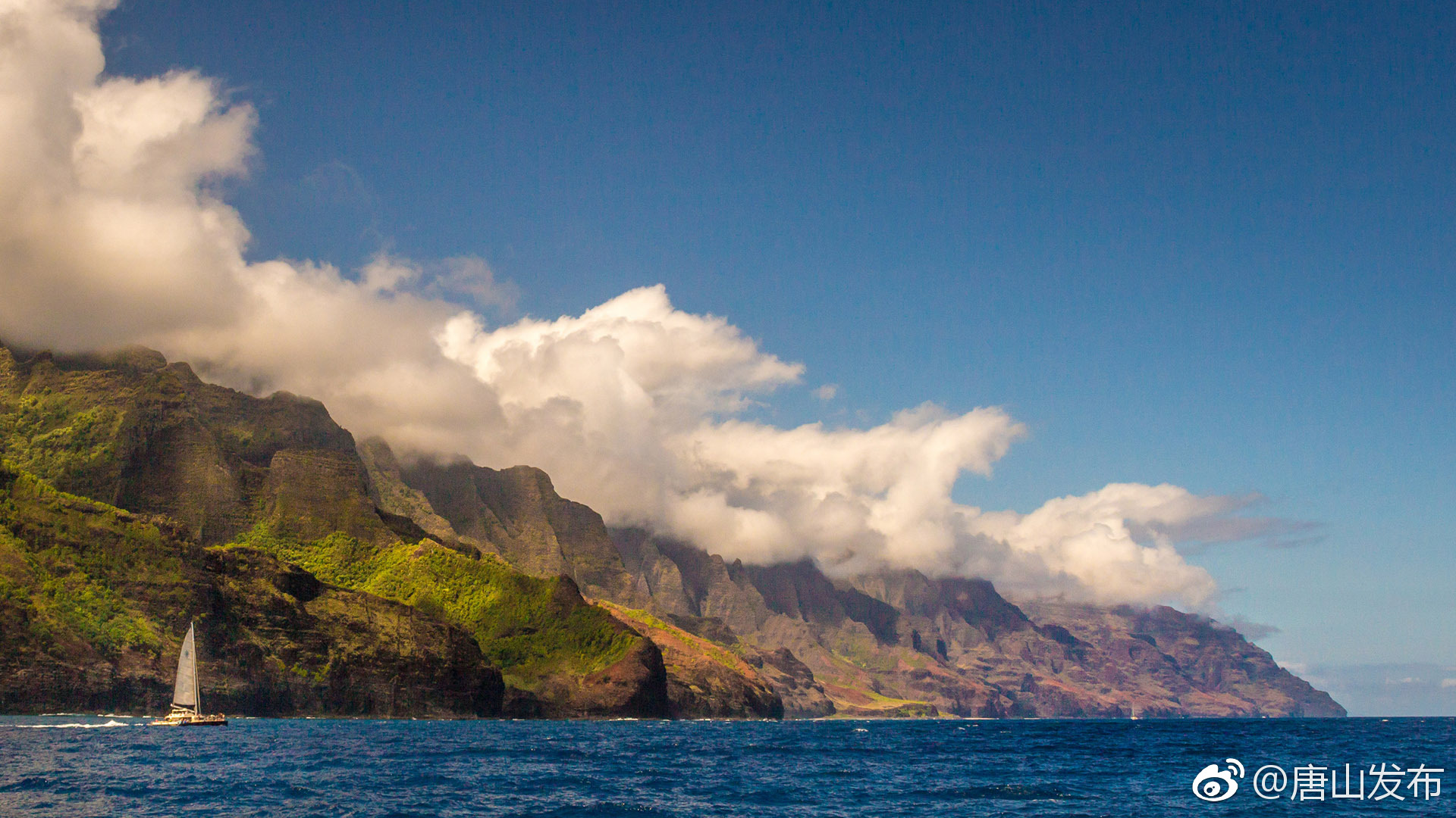 向日葵说,只要你朝着阳光努力向上,生活便会因此变得单纯而美好