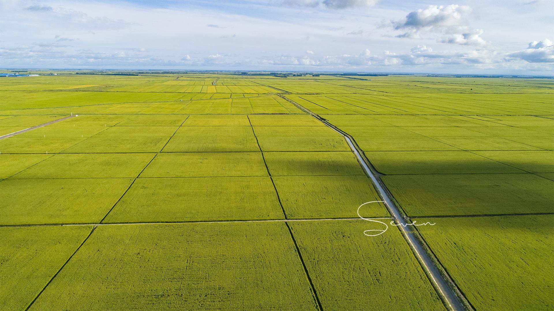 万亩良田养活了多少人呐