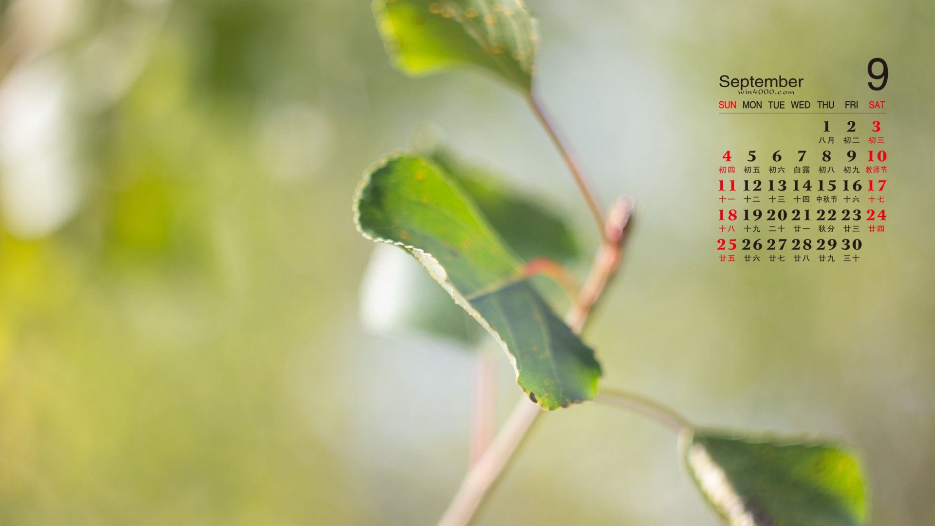 9月正是养生好时机3招助你排出体内湿毒让身体健康少生病