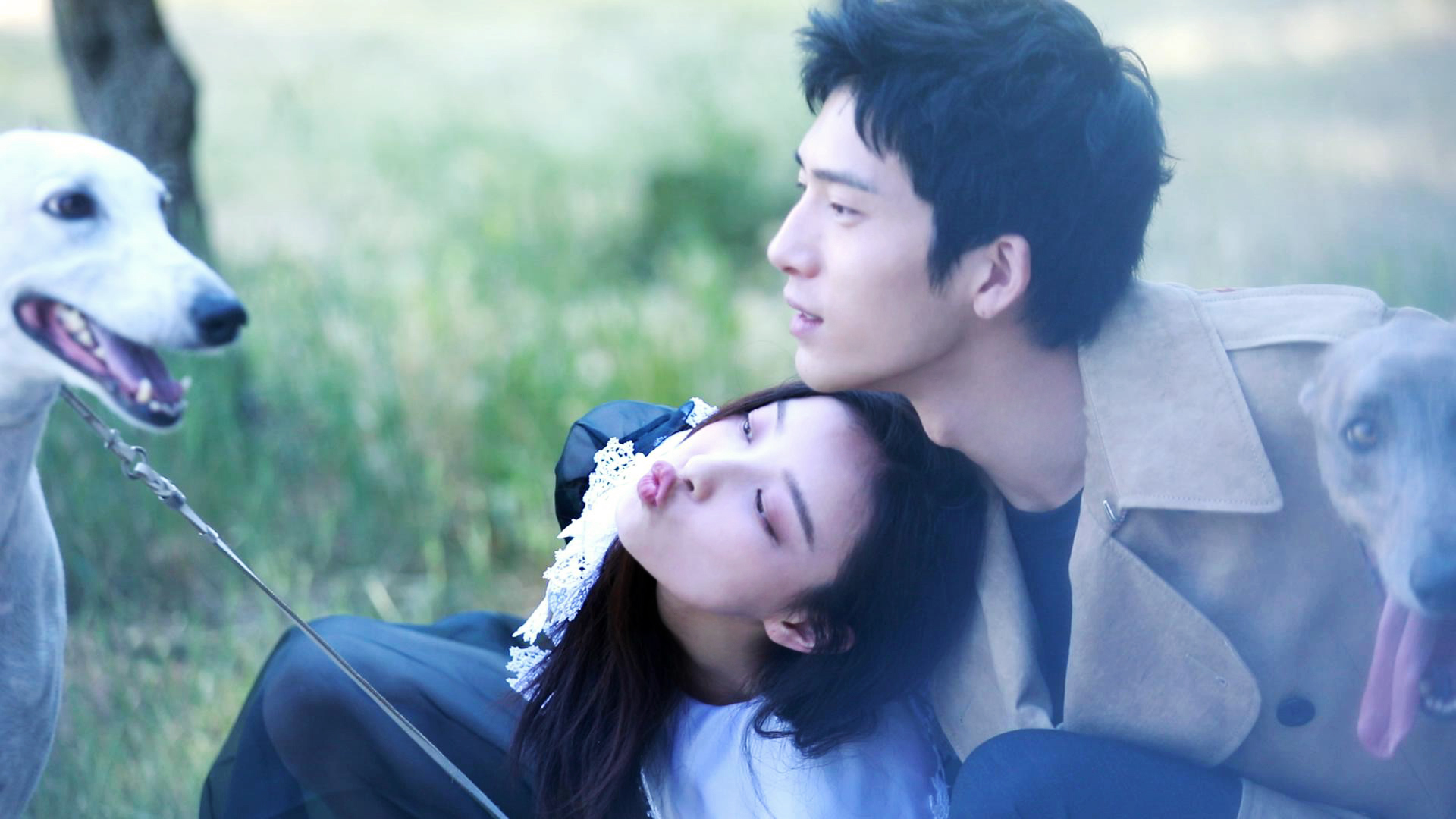 倪妮井柏然时尚芭莎花絮公开复古清新甜度满满