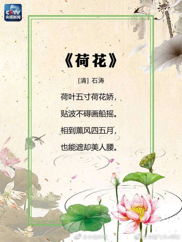 古诗中的"荷"那么美,转存![微风]|荷花|咏荷|池畔_新浪新闻