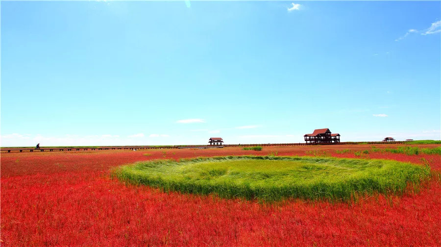 具体方位是在盘山县辽河油田欢喜岭采油厂.
