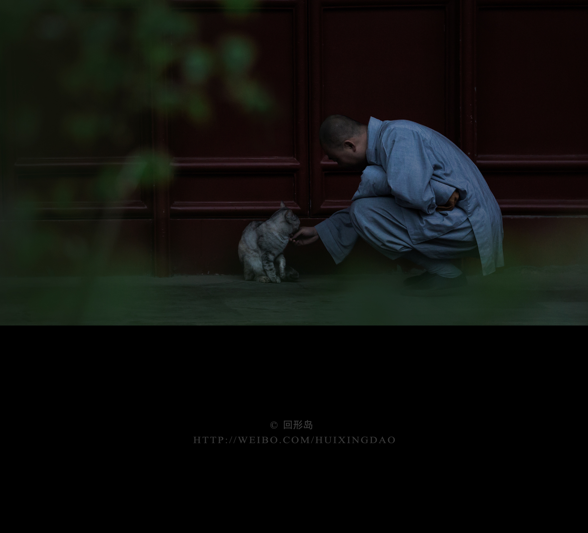 丁香夜雨,一梦浮生.