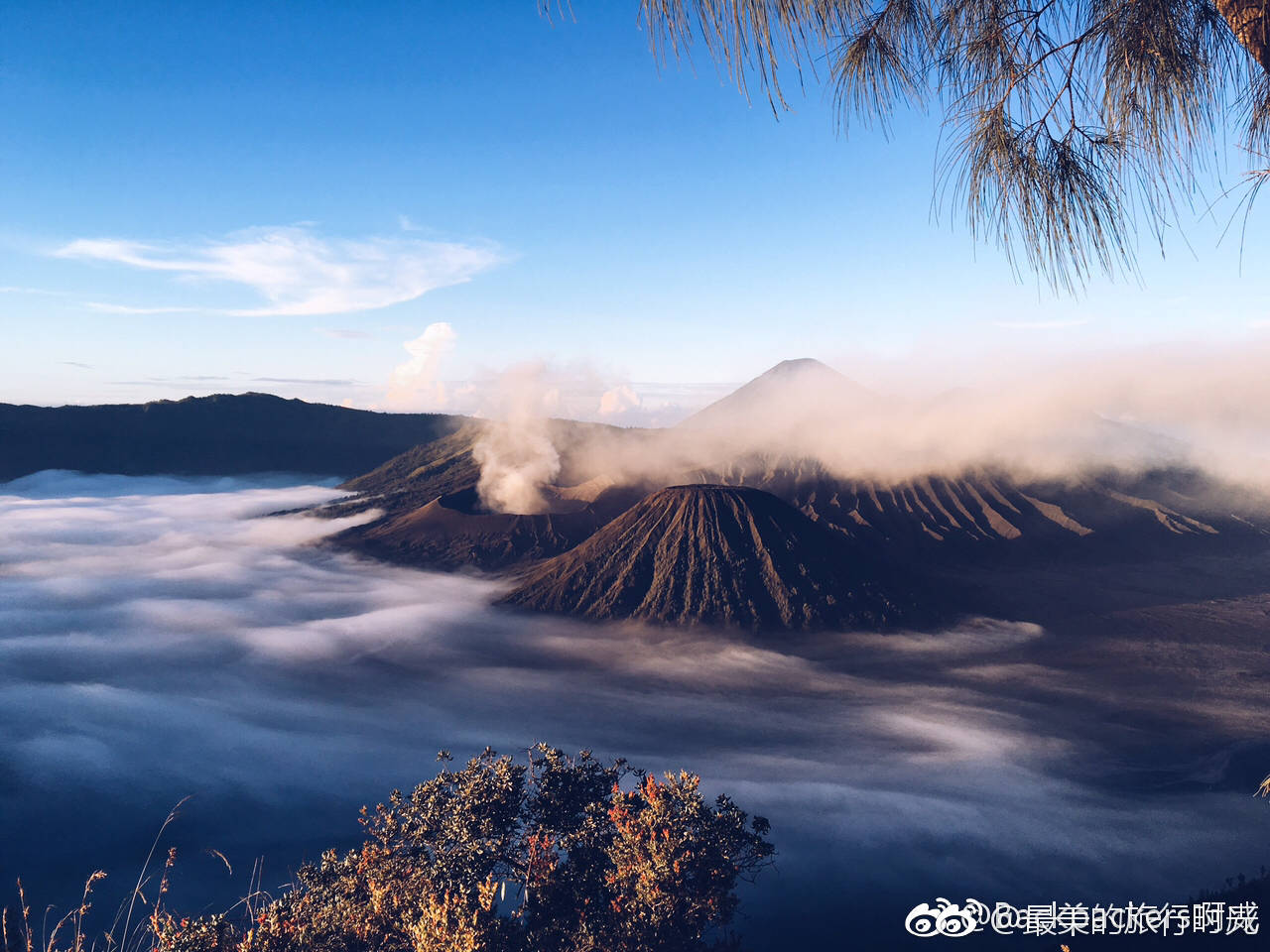 美景就在旅行的镜头里来源见微博水印