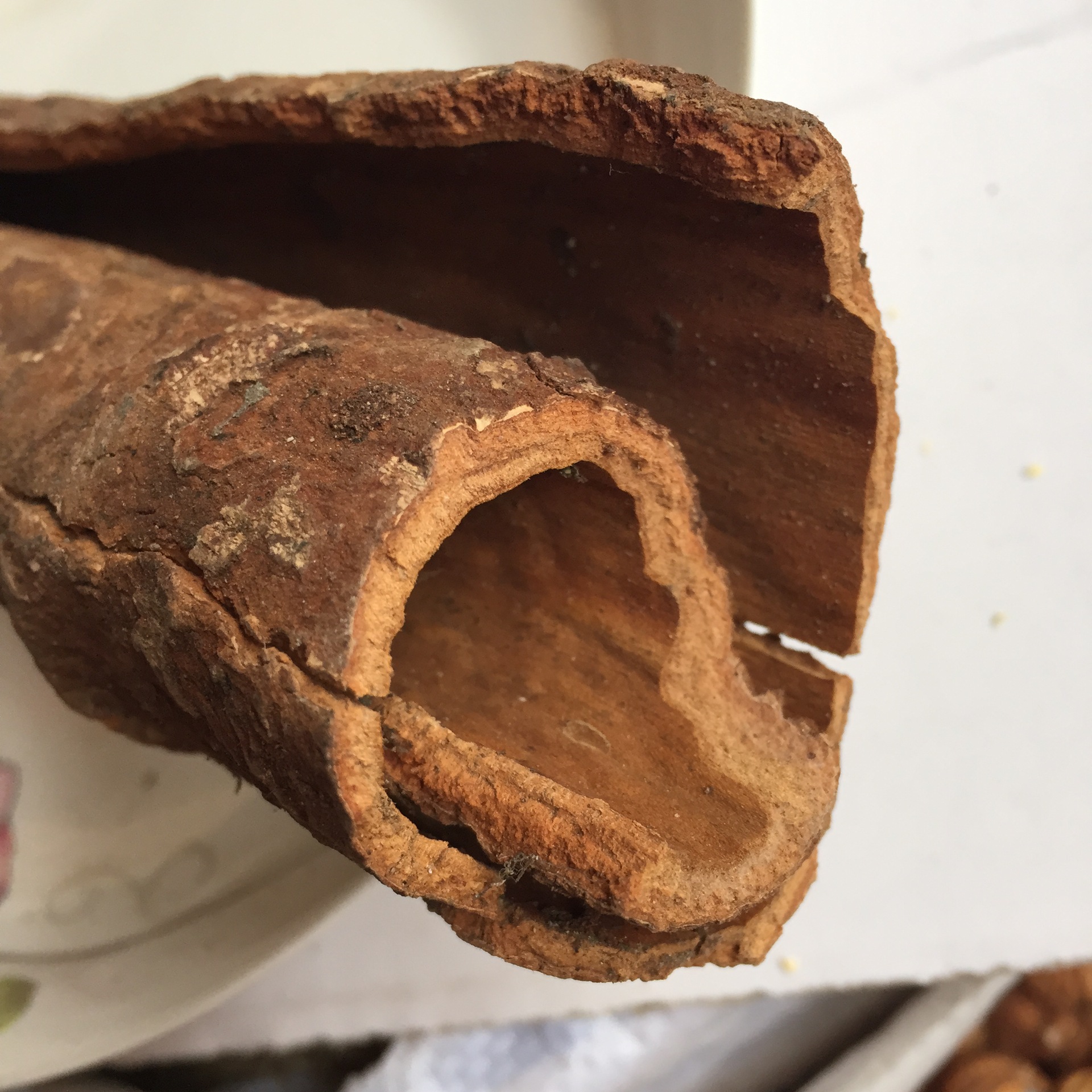 每天学一味中药:肉桂—治沉寒痼冷,散寒止痛,通经脉,温煦气血