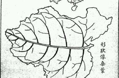 中国地图:从秋海棠,桑叶再到雄鸡,历史的变迁|秋海棠|桑叶|雄鸡_新浪
