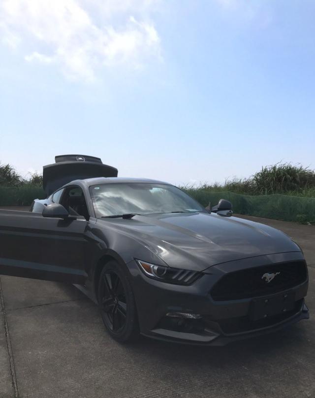 还得慢慢适应!小野驴!