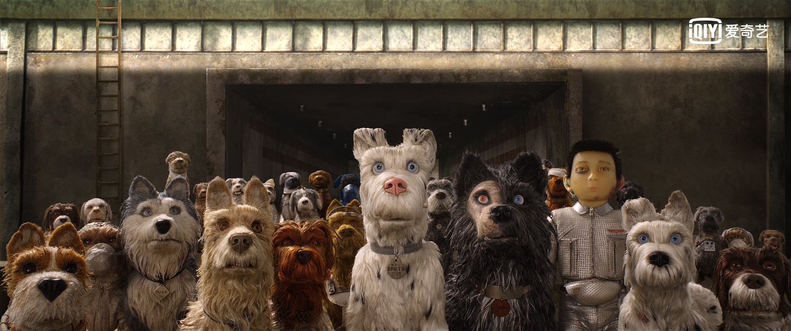 电影《犬之岛》上线 感受韦斯安德森的极致美学