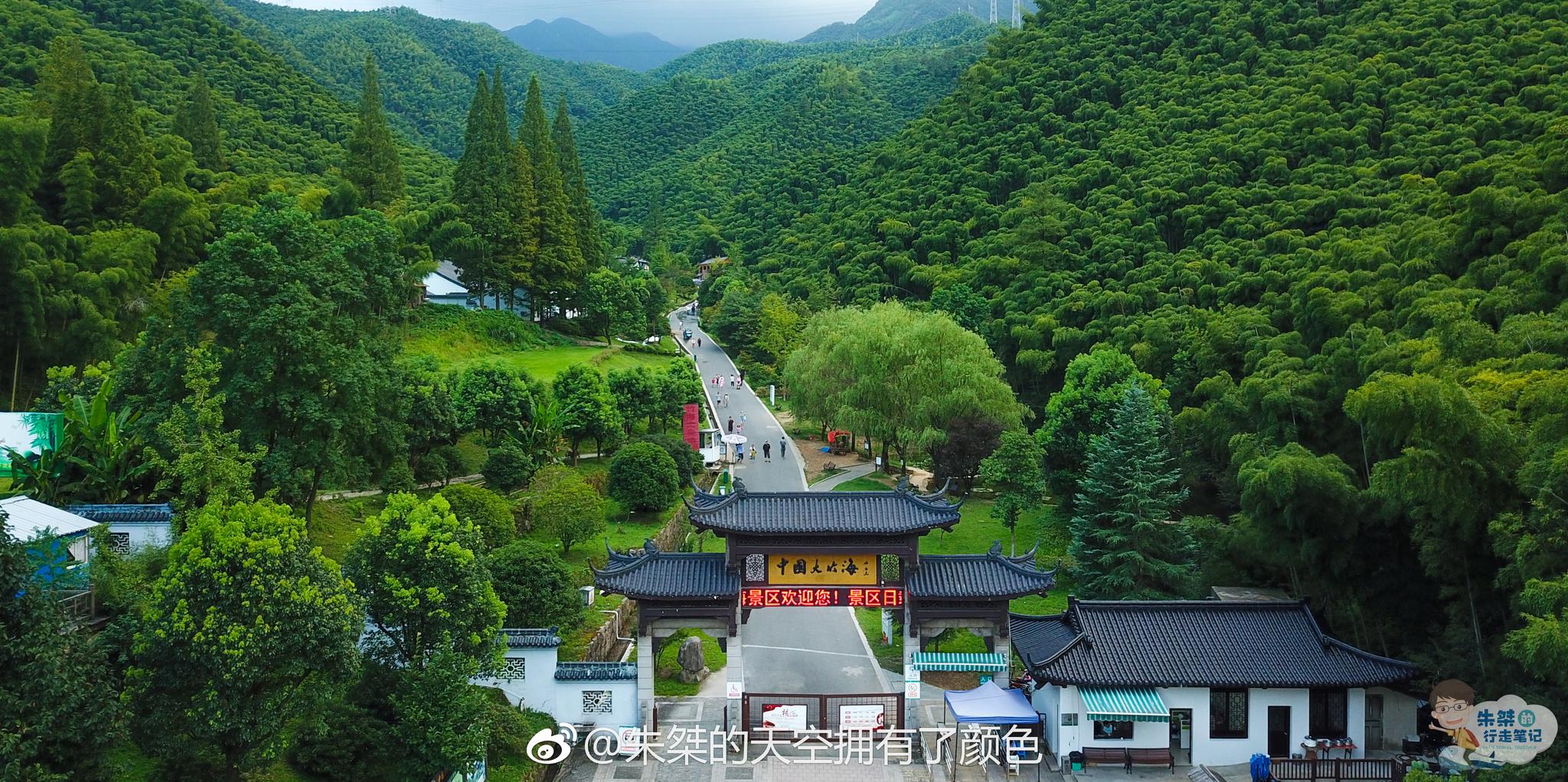 中国大竹海位于浙江省湖州市安吉县,是单纯毛竹为主的林地|中国大竹海|毛竹|安吉|安吉县|湖州市_新浪新闻