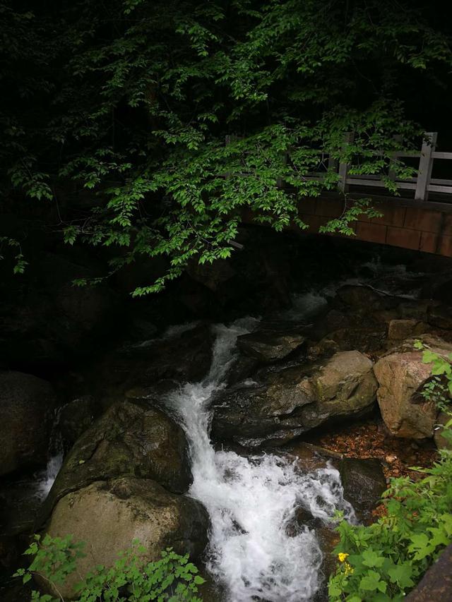 山峭林茂,涧深泉清的三潭幽景