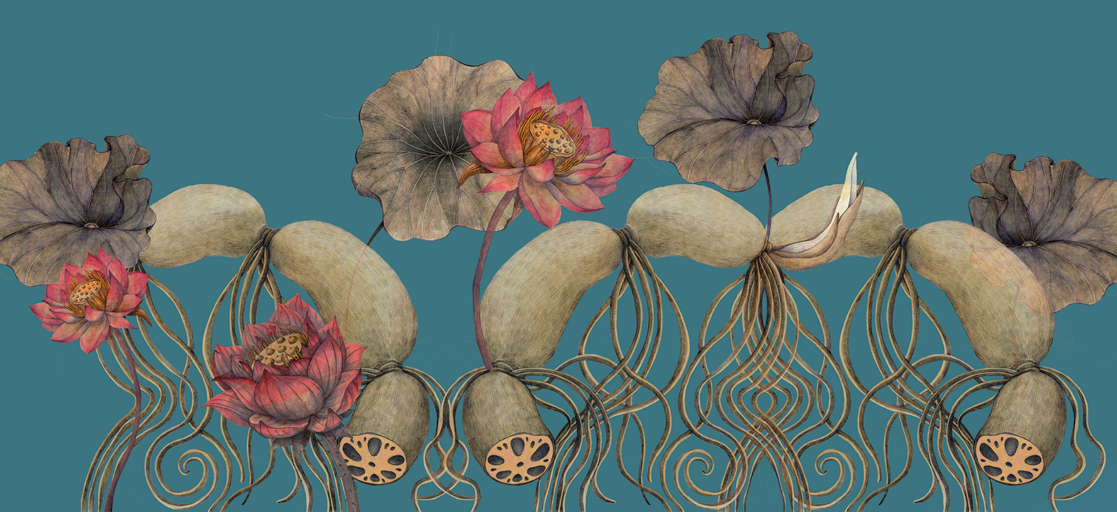 插画设计丨莲花主题插画设计,创作手法很有意思