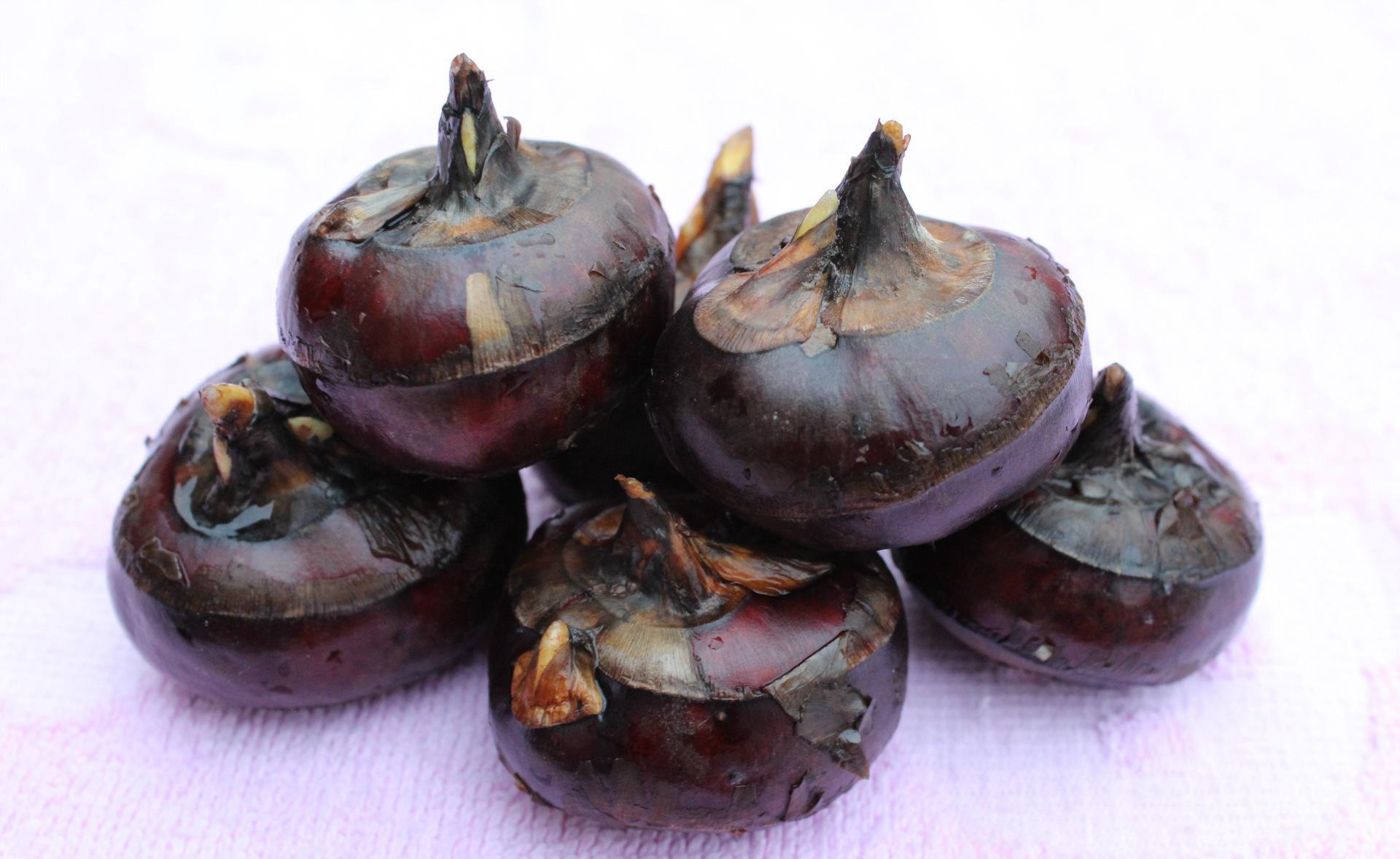 荸荠粉除作为滋补品调服外,还可制成马蹄冻,马蹄糕.