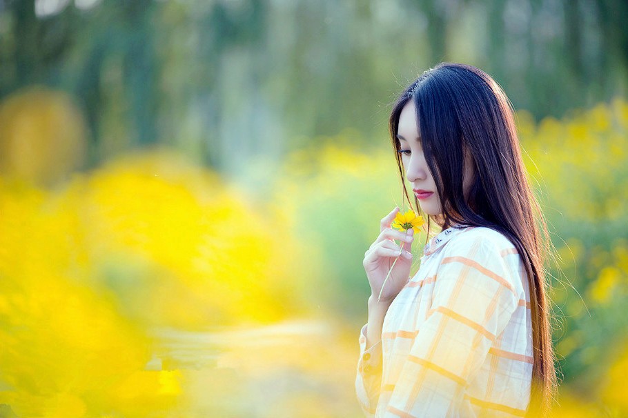 一个在金黄色野菊花边的清秀美丽女孩_新浪看点