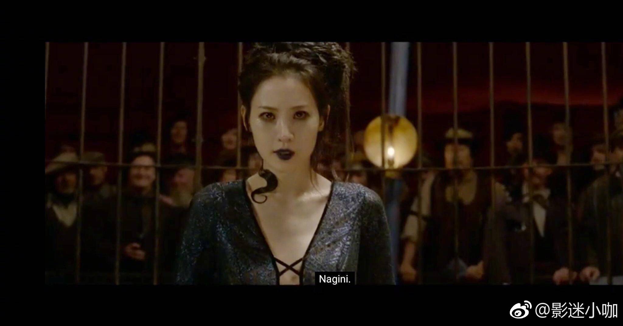 2格林德沃之罪曝光纳吉尼角色海报