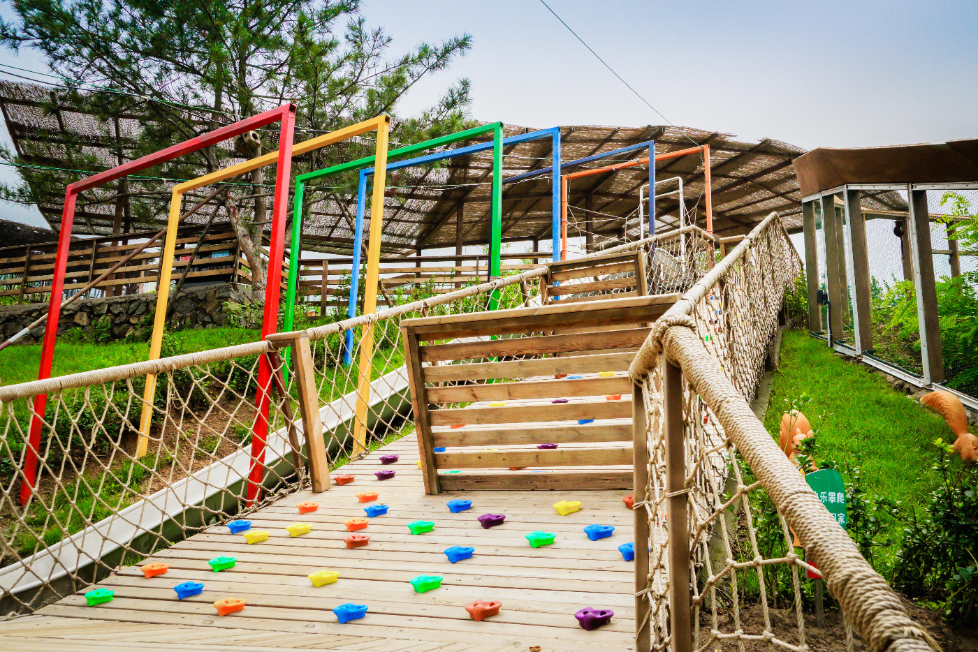 解放天性与森林的小精灵一起玩耍