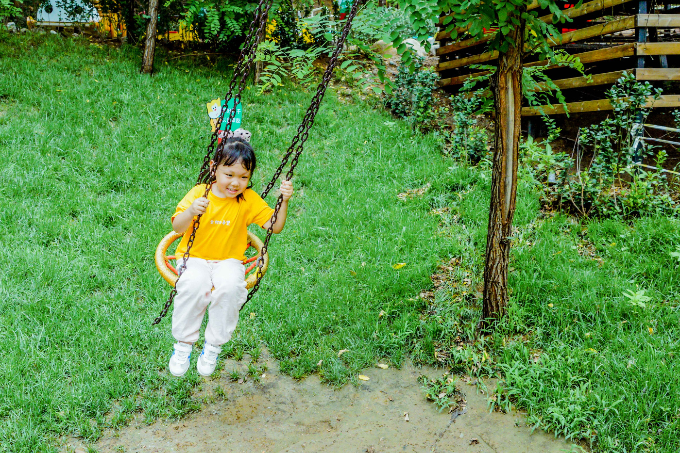 解放天性与森林的小精灵一起玩耍