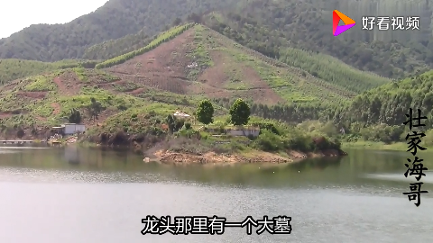 飞凤饮水形的特征图片图片