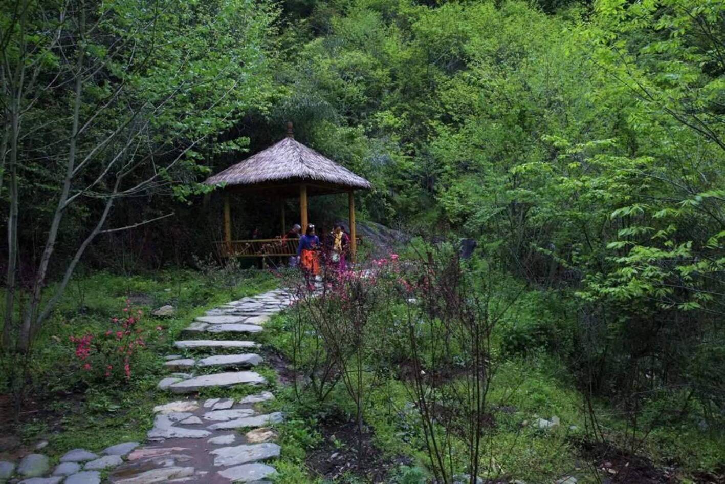 游桃花溪 看茶乡实景演出 篝火狂欢 两天一夜游中国最美乡村平利