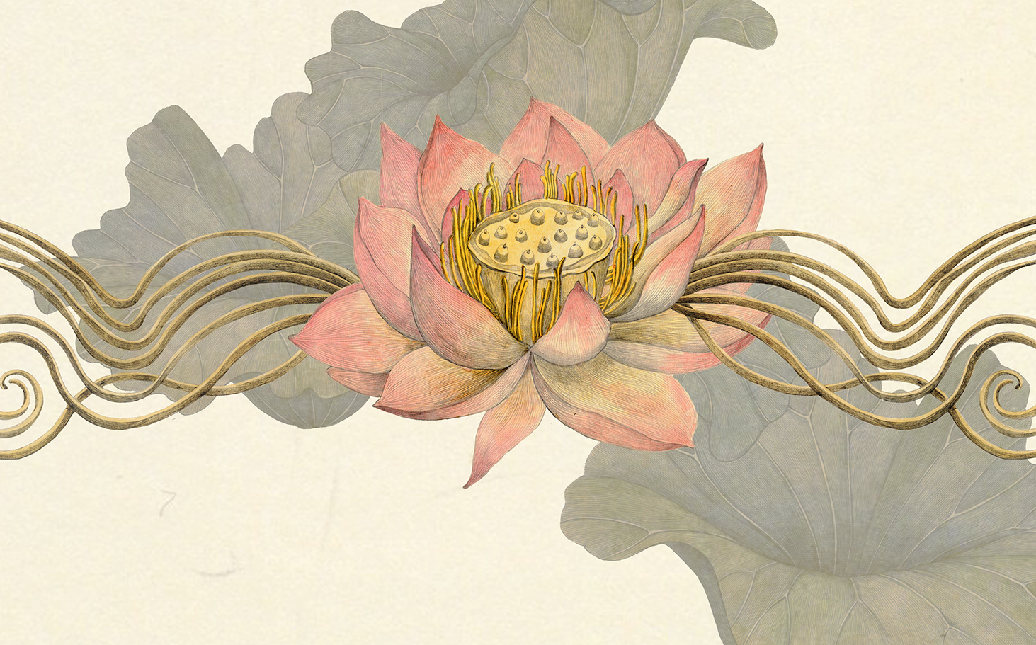 插画设计丨莲花主题插画设计,创作手法很有意思