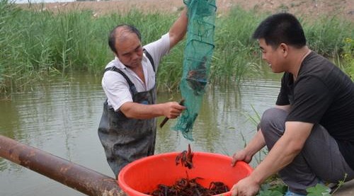 农村男子用塑料瓶自制捕鱼工具,专门用来抓小