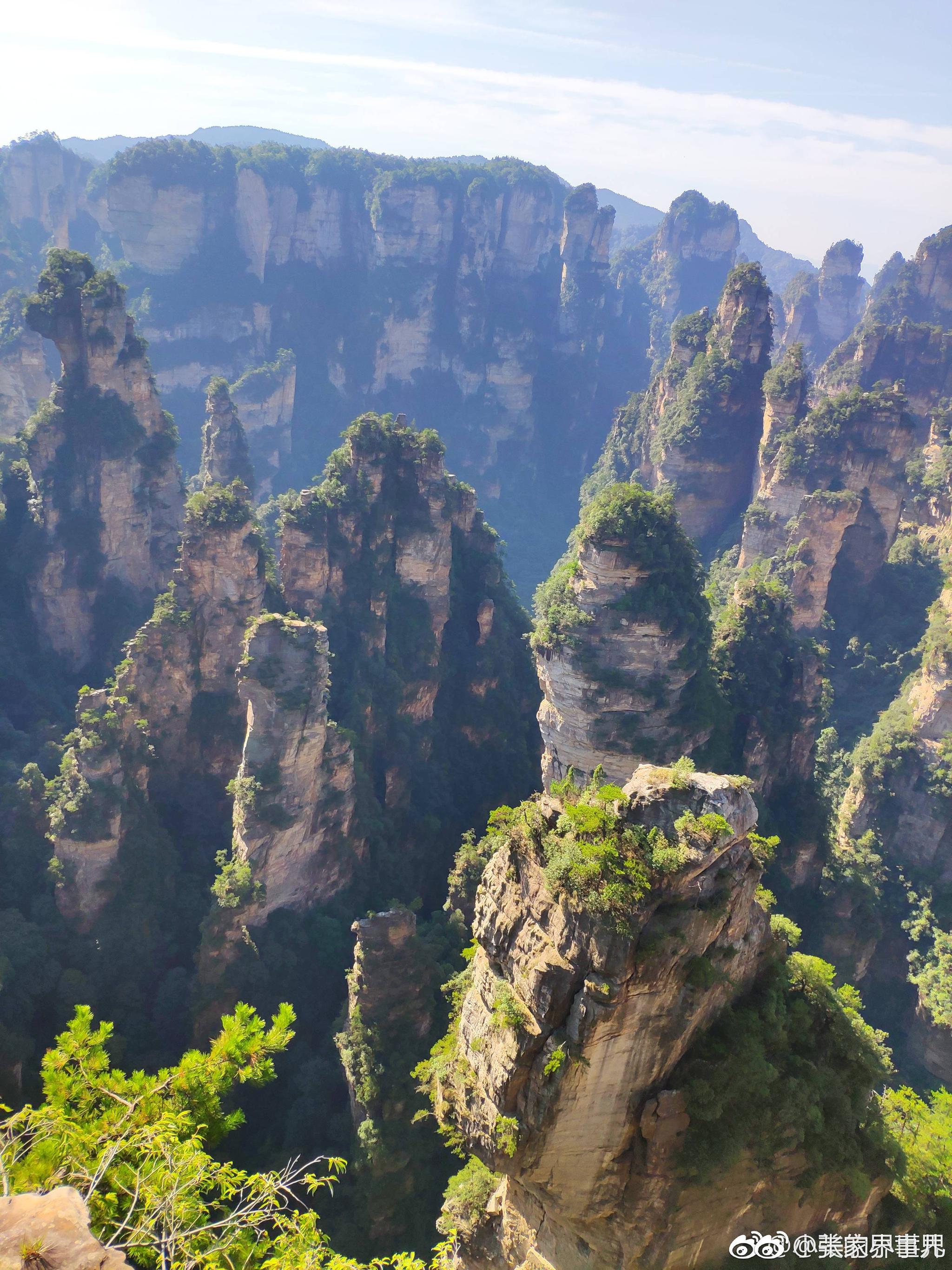 阿凡达的拍摄基地照片完全拍不出张家界的美