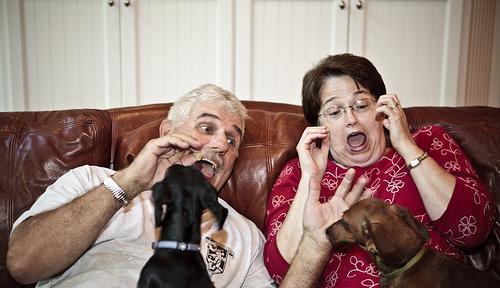 cynophobia(恐狗症) 不是怕恶犬,而是怕所有狗.