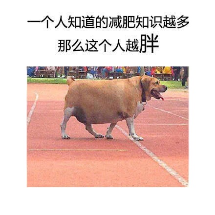 我竟然无法反驳