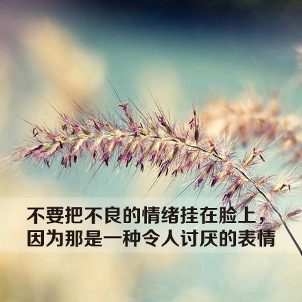 当脾气来的时候福气就走了人的优雅关键在于控制自己的情绪