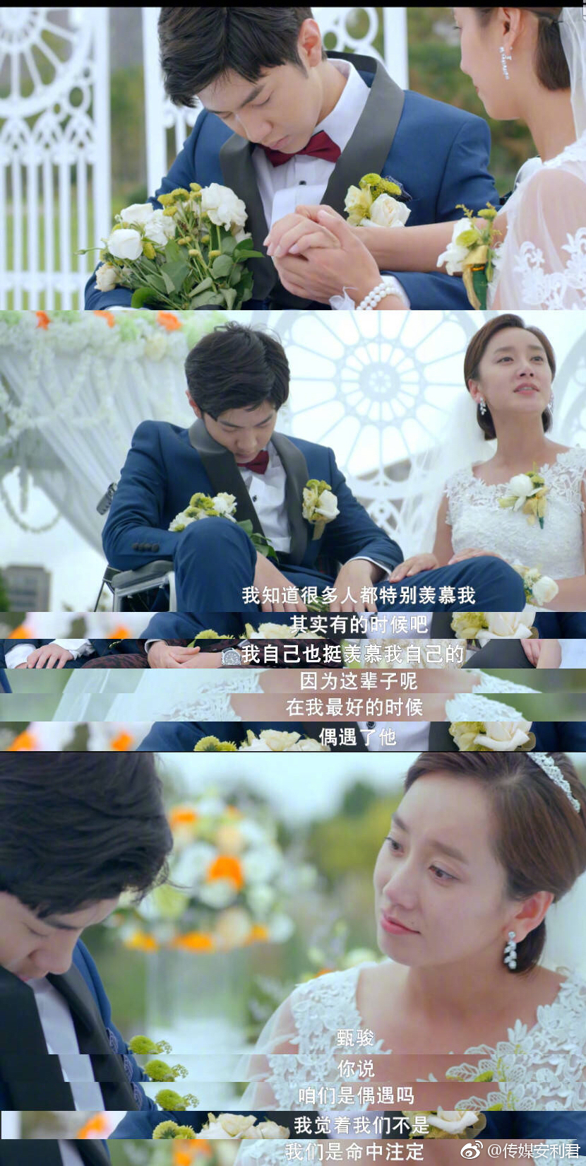 陈哲远董晴亲爱的活祖宗