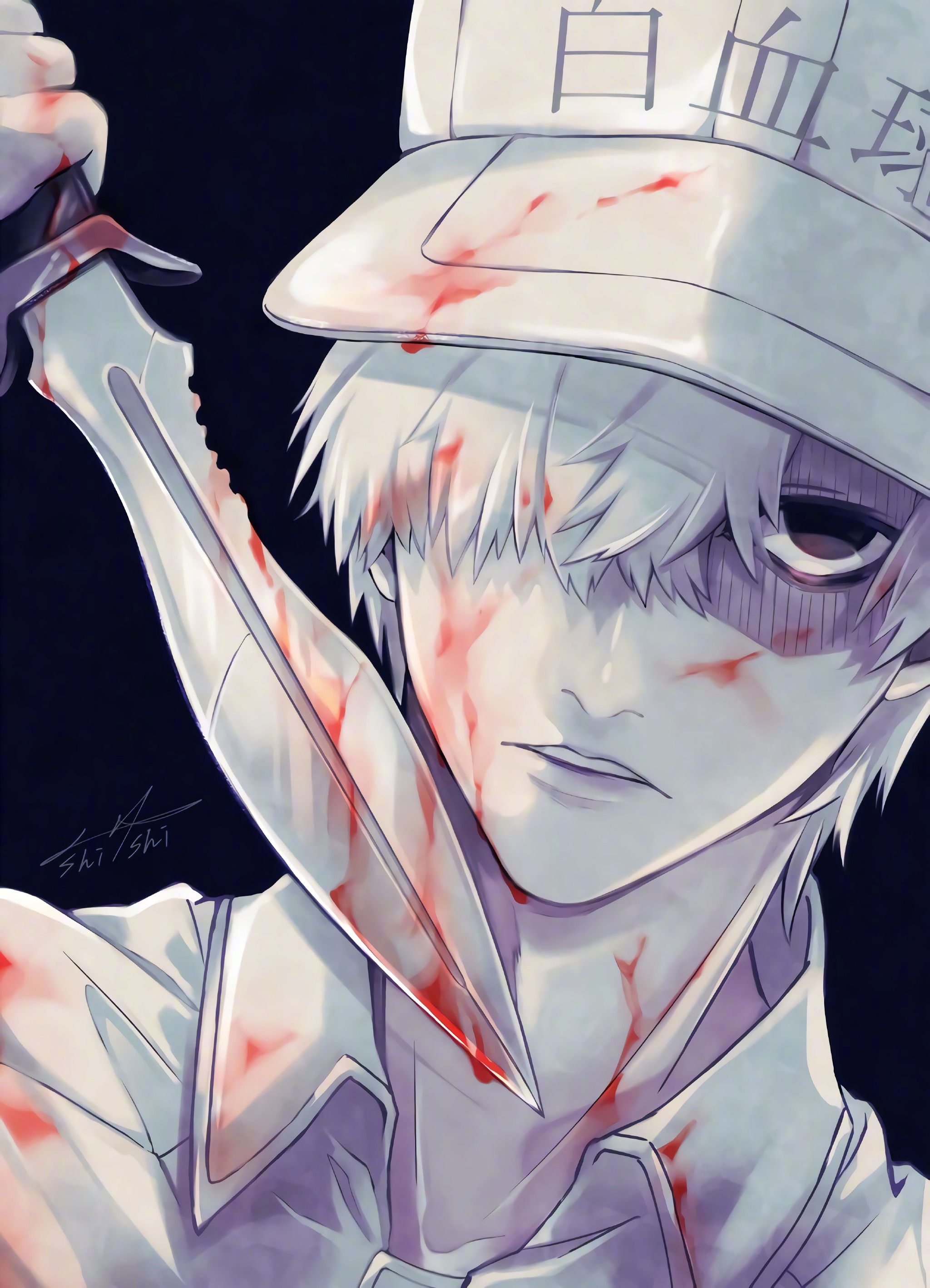 工作细胞不同代号的白血球