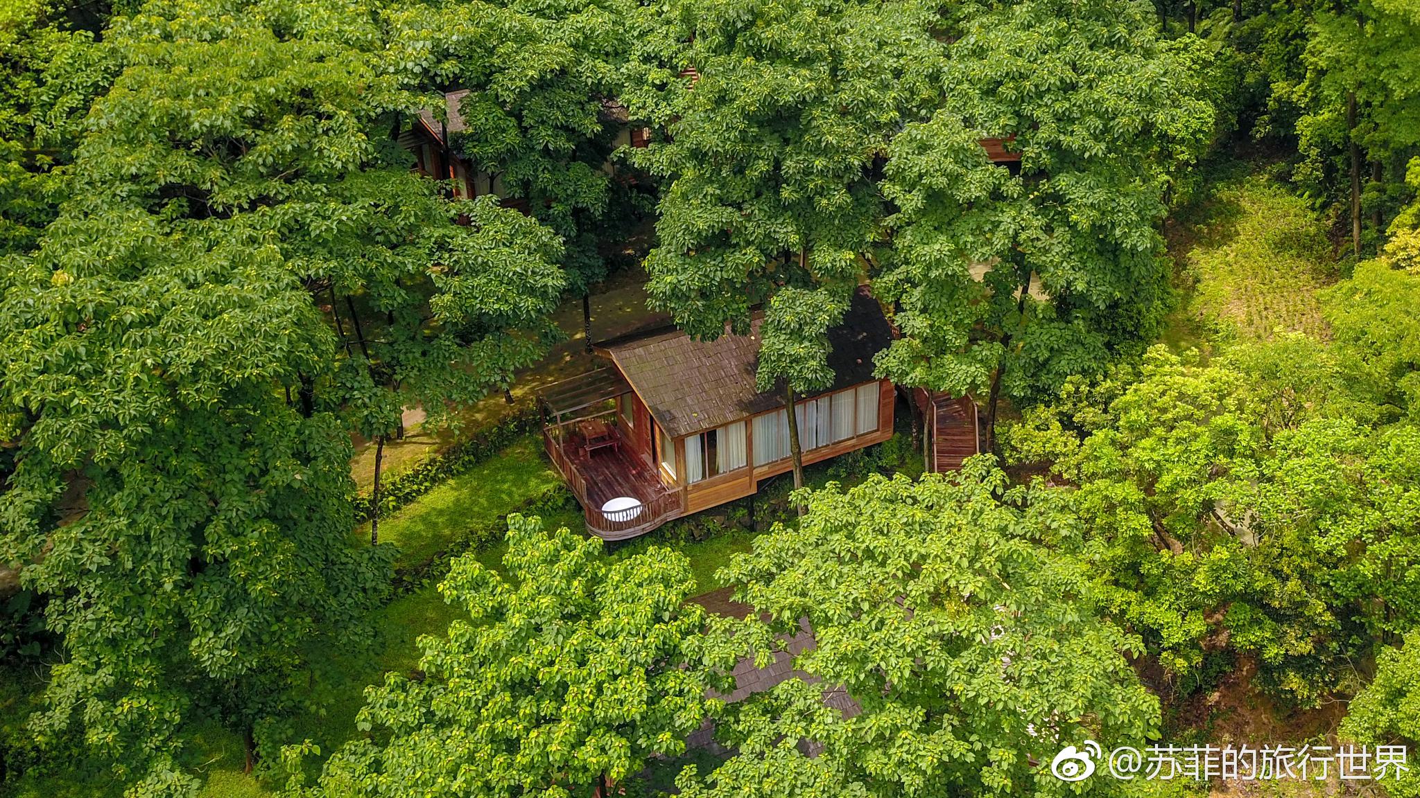 来自童话的森林小屋
