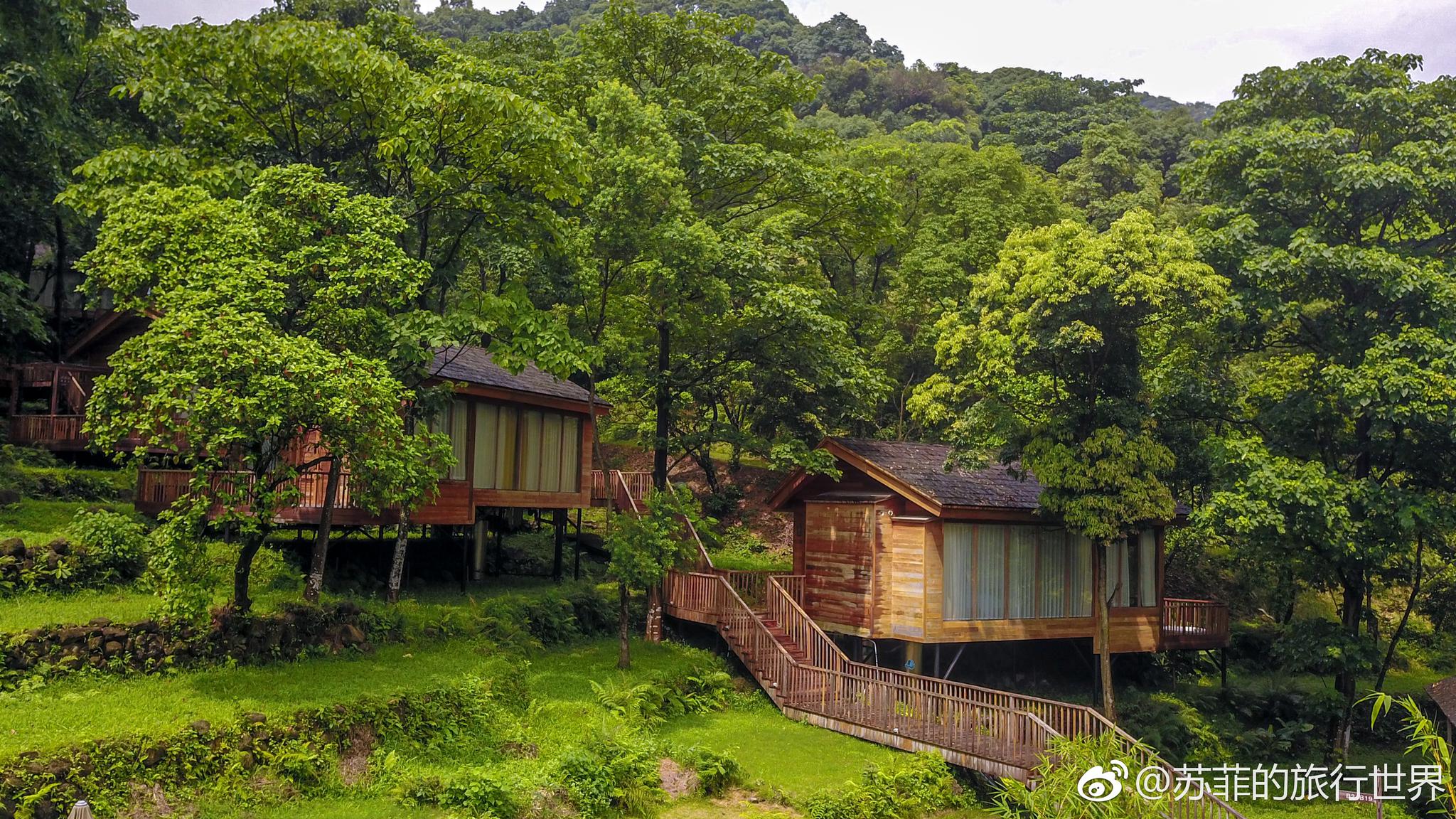 来自童话的森林小屋|小屋|童话|林山_新浪新闻