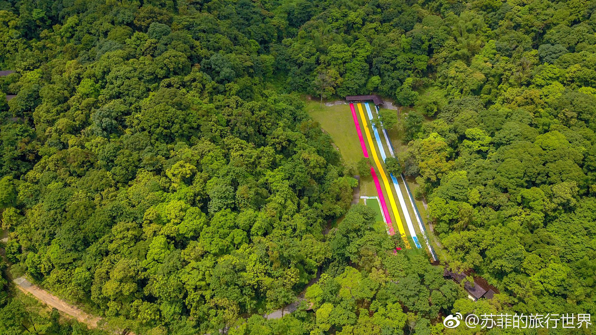 来自童话的森林小屋|小屋|童话|林山_新浪新闻