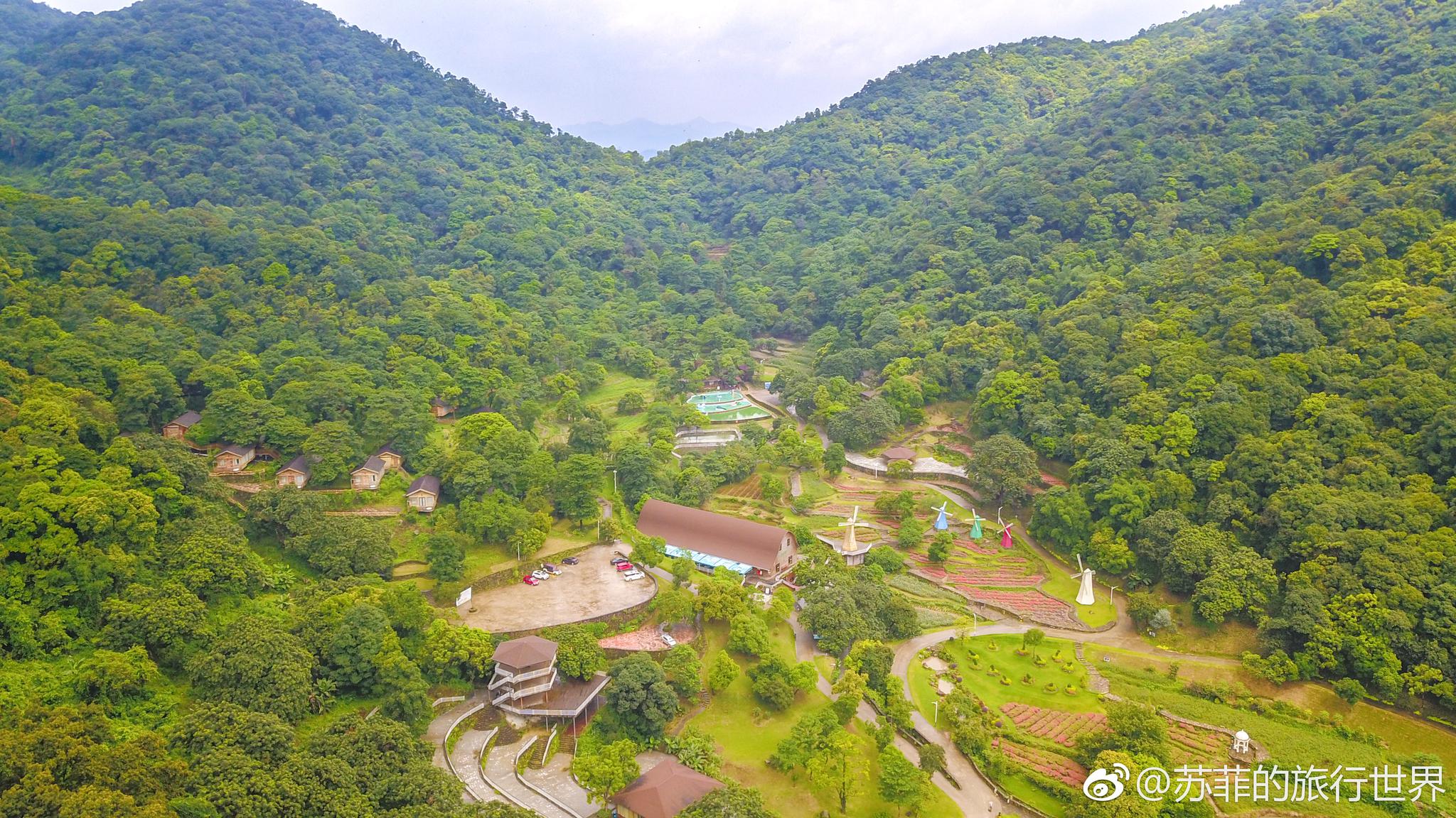 来自童话的森林小屋|小屋|童话|林山_新浪新闻