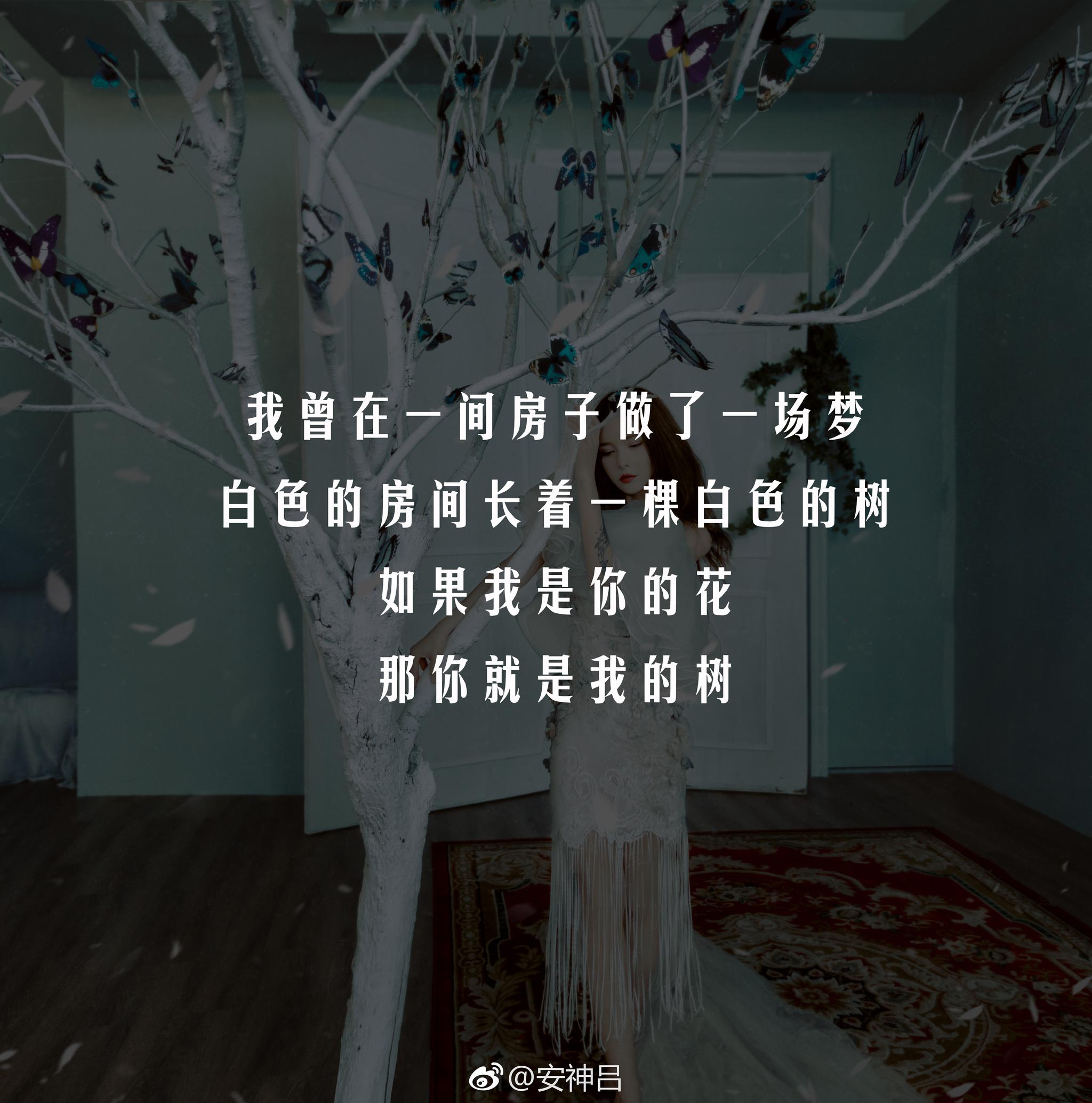 我的作品和文案它们是毒品深夜治愈了我的伤