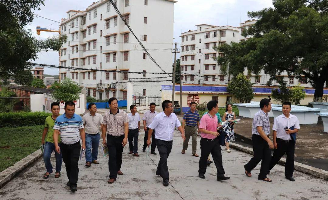 玉林市评估复核组到龙潭镇开展均衡教育评估复核工作